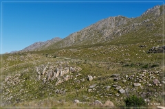 Swartberg Pass + Karoo